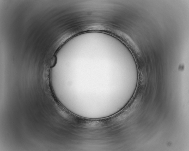 X0000101951225200808151245