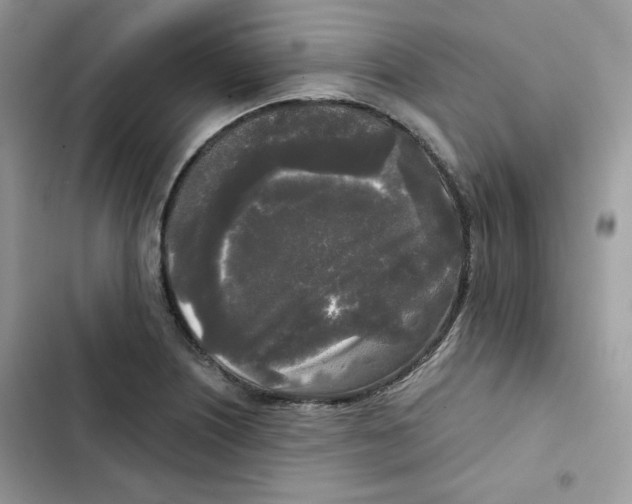 X0000101951226200808151245