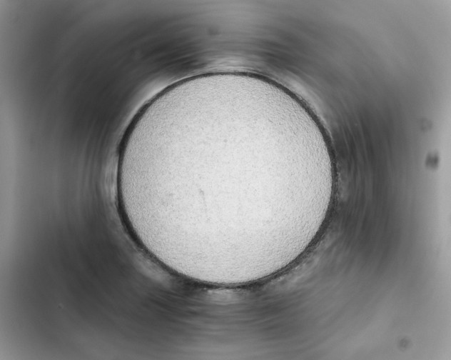 X0000101951227200808151245