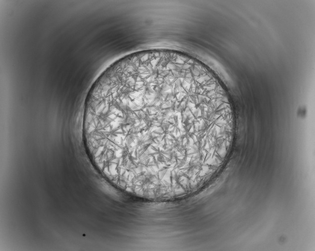 X0000101951228200808151245