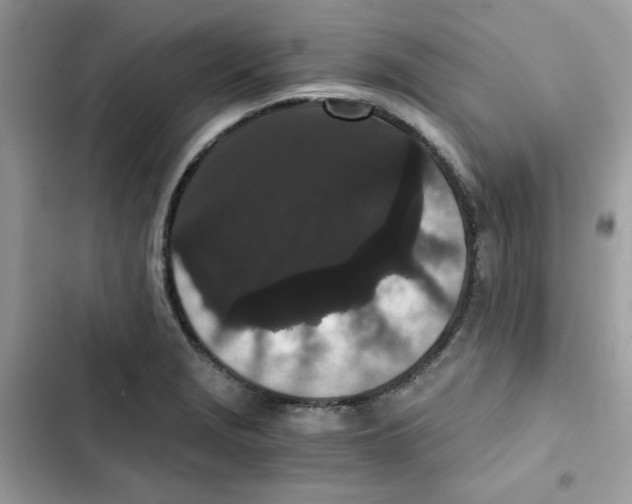 X0000101951229200808151245