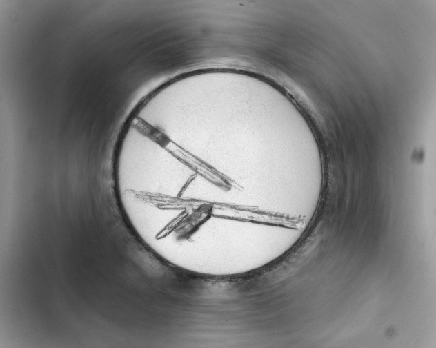 X0000101951230200808151245