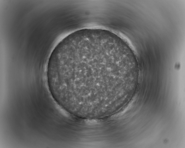 X0000101951231200808151245