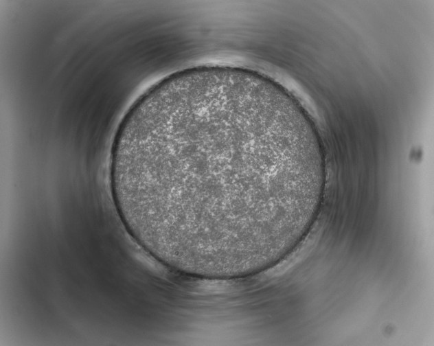 X0000101951232200808151245