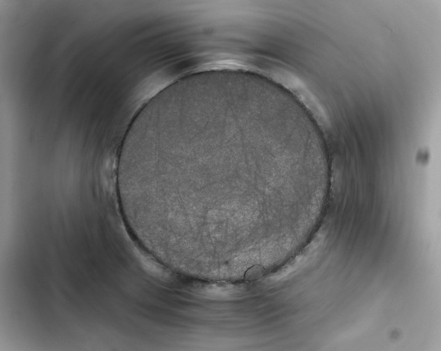 X0000101951233200808151245