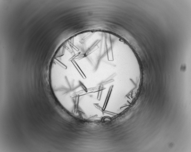 X0000101951234200808151245