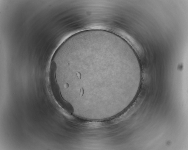X0000101951236200808151245
