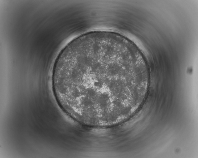 X0000101951237200808151245