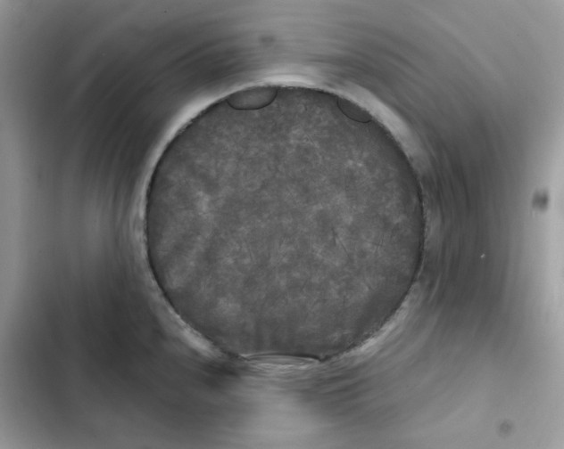 X0000101951240200808151245