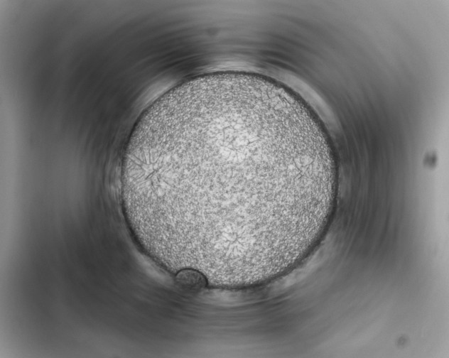 X0000101951241200808151245