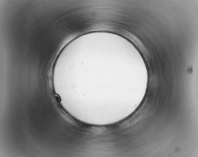X0000101951242200808151245