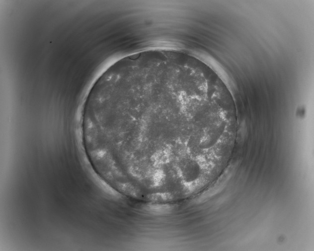 X0000101951243200808151245