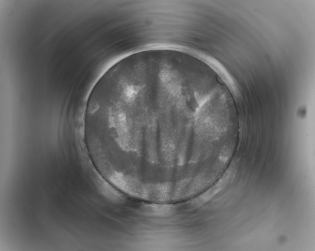 X0000101951244200808151245