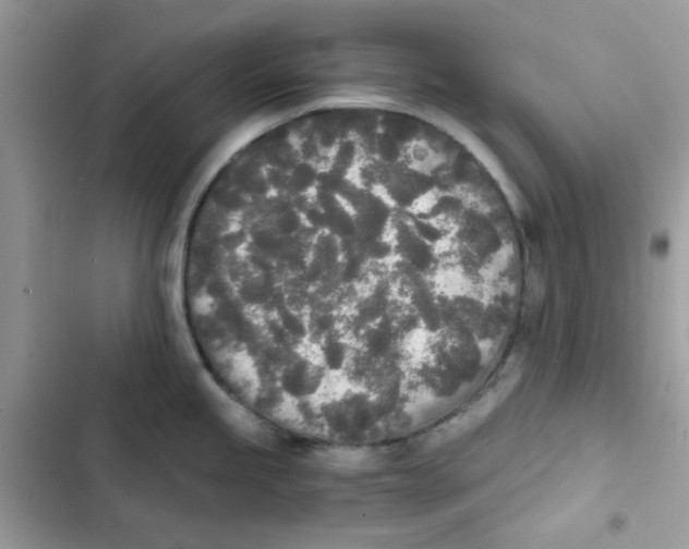 X0000101951245200808151245
