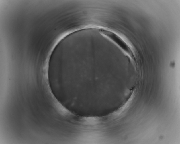 X0000101951246200808151245