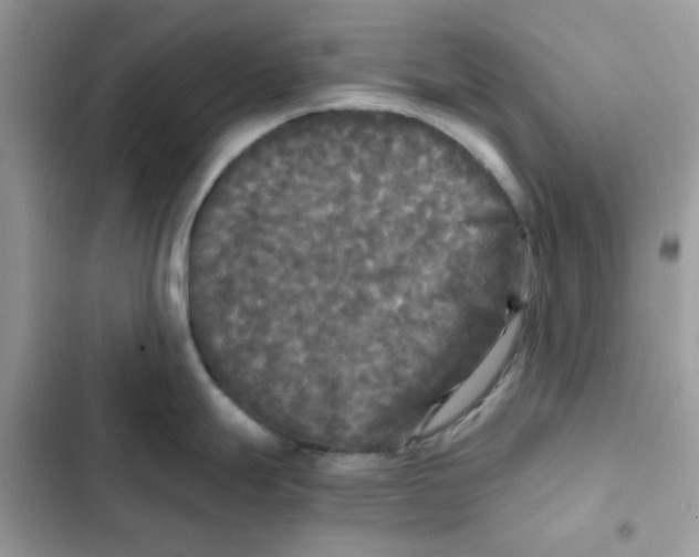 X0000101951247200808151245