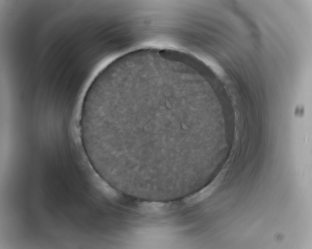 X0000101951248200808151245