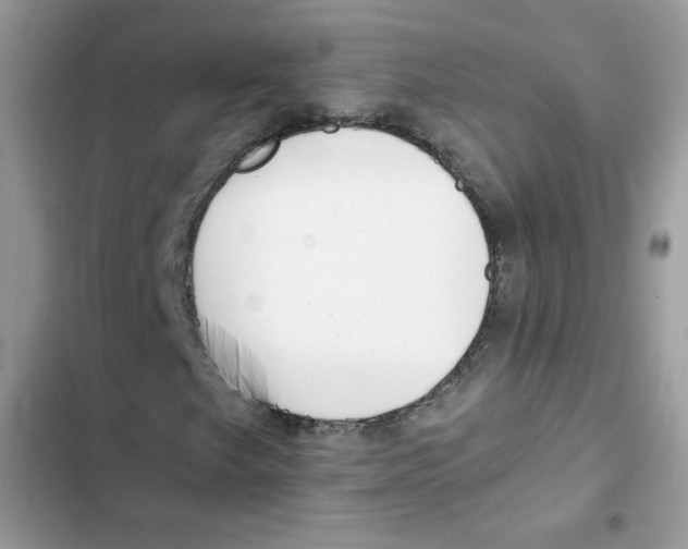 X0000101951249200808151245
