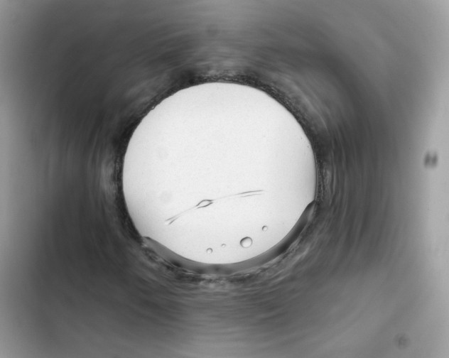 X0000101951250200808151245