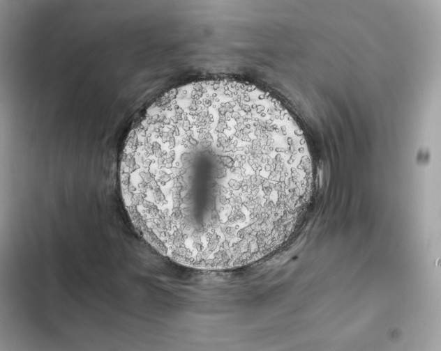 X0000101951251200808151245