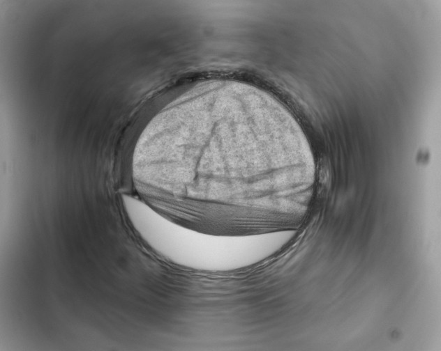 X0000101951252200808151245