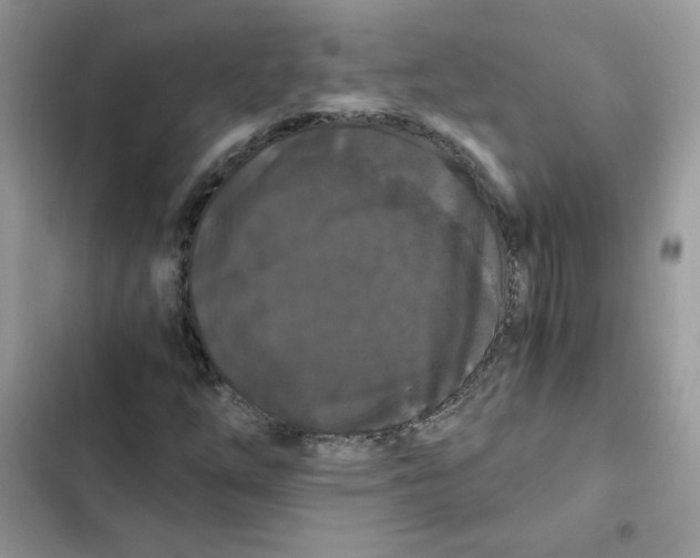 X0000101951254200808151245