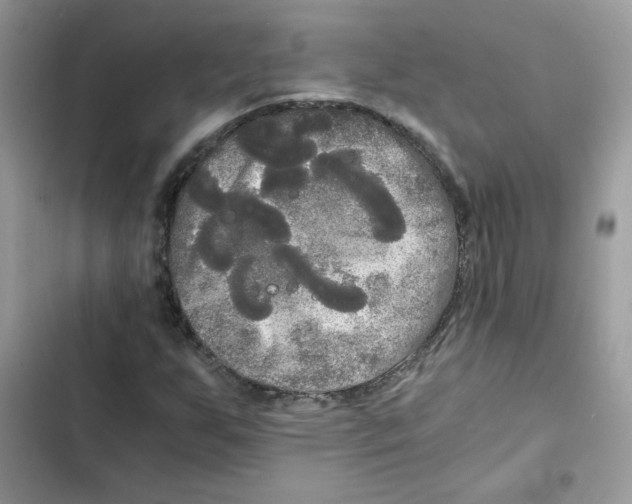 X0000101951255200808151245