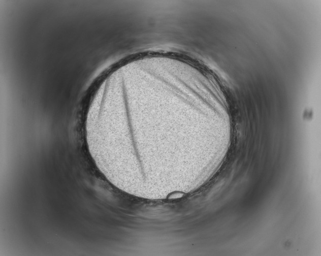X0000101951256200808151245