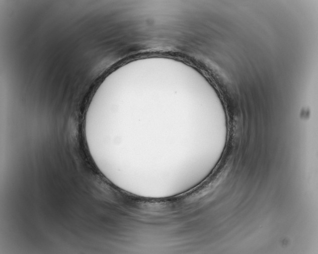X0000101951257200808151245