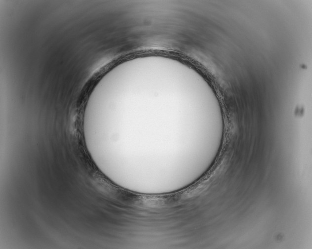 X0000101951258200808151245