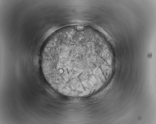 X0000101951259200808151245