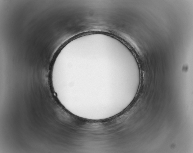 X0000101951260200808151245