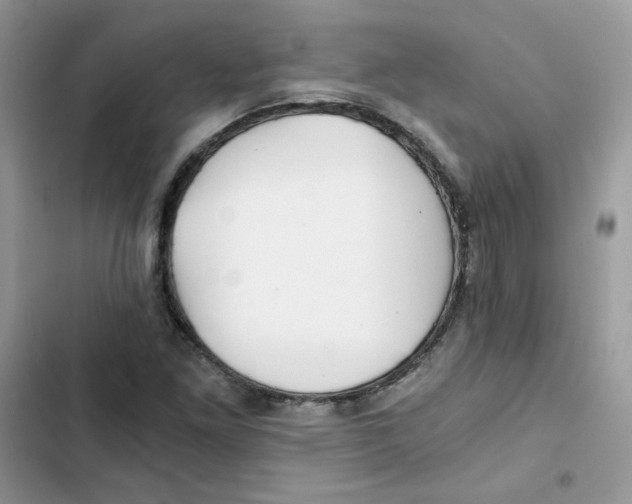 X0000101951261200808151245