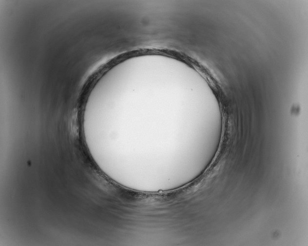 X0000101951262200808151245