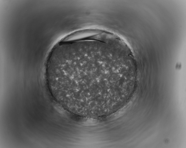 X0000101951263200808151245