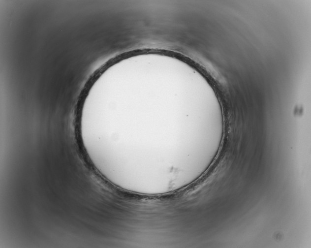 X0000101951264200808151245