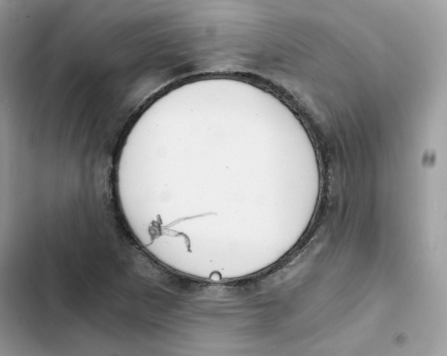 X0000101951265200808151245