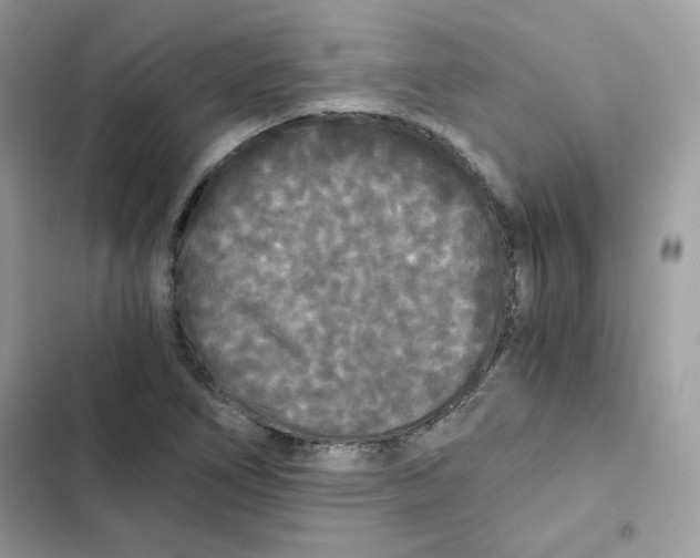 X0000101951266200808151245