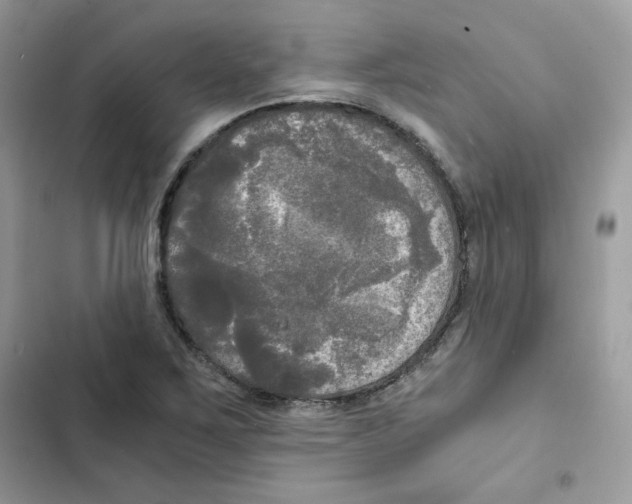 X0000101951267200808151245