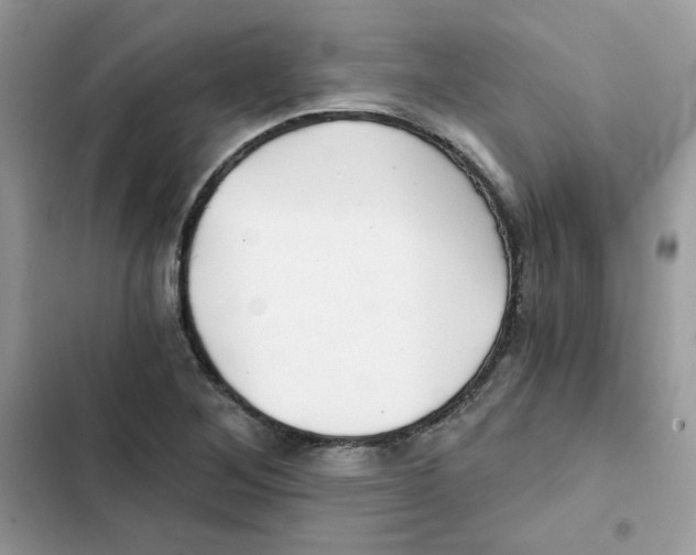 X0000101951268200808151245