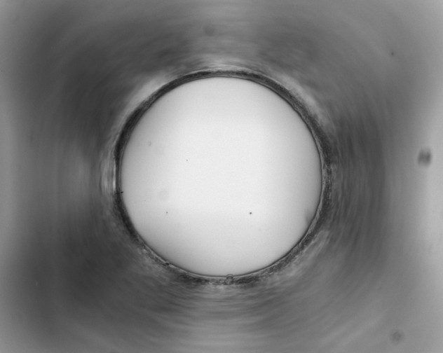X0000101951269200808151245
