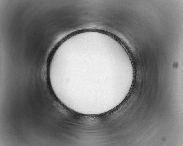 X0000101951270200808151244