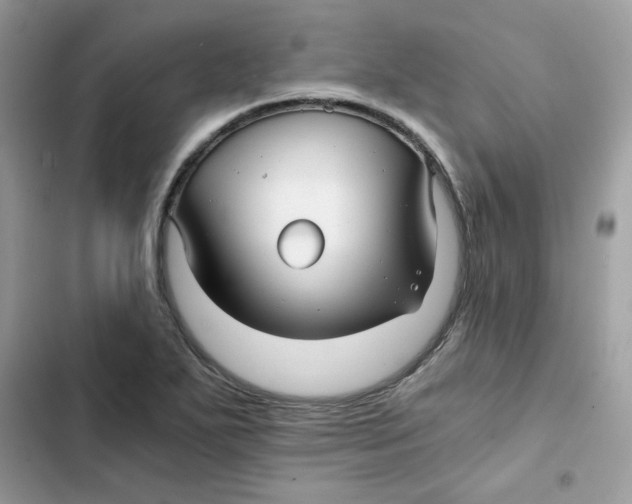 X0000101951271200808151244