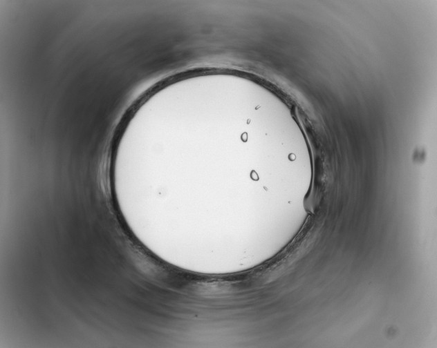 X0000101951272200808151244