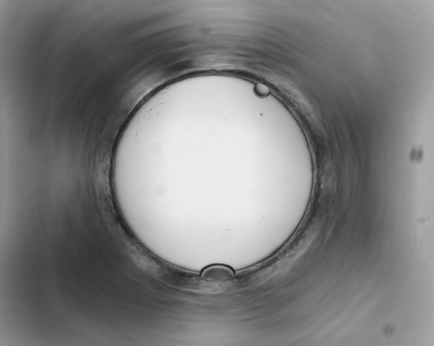 X0000101951273200808151244