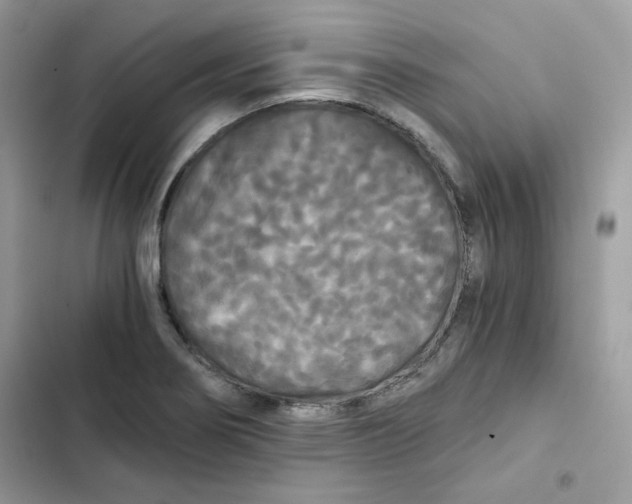 X0000101951274200808151244