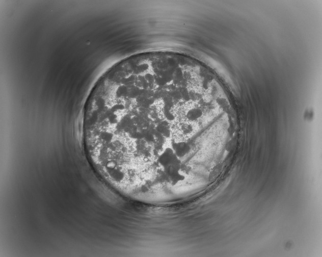 X0000101951275200808151244