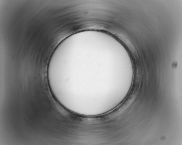 X0000101951281200808151244