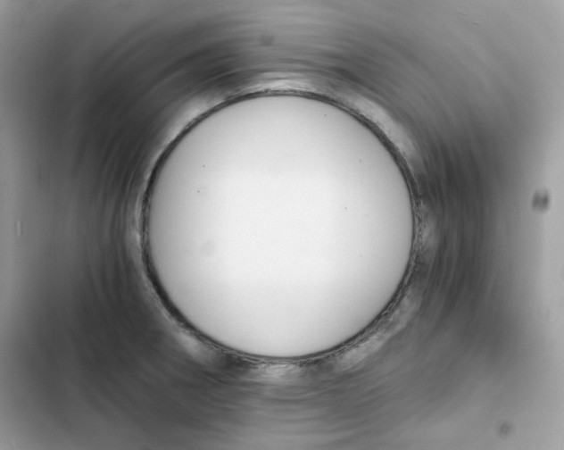 X0000101951282200808151244