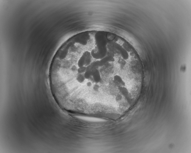 X0000101951283200808151244